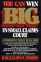 You Can Win Big in Small Claims Court