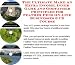 The Ultimate Make An Extra Income, Inner Game and Godfather Principles for Feather Pens On-line Businesses 3 CD Course