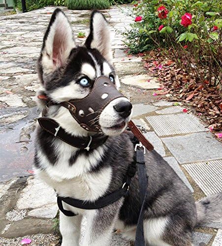 IFfree Adjustable Anti-biting Dog Muzzle Leather Brown (M)