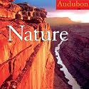 Audubon Nature Calendar 2008