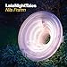 Late Night Tales: Nils Frahm