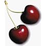 cherry flavor extract - 2 fl oz