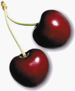 cherry flavor extract by faerie
