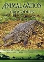 Animal Nation - Crocodiles [DVD]