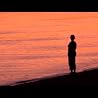 Provincetown, Cape Cod in HD