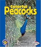 Colorful Peacocks (Pull Ahead Books)