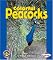 Colorful Peacocks (Pull Ahead Books)