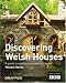 Discovering Welsh Houses