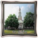 Morgan State Univ Pillow - 17 x 17 Pillow - Morgan State Bears