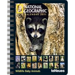 2011 Ng Wildlife Baby Animals Deluxe Diary