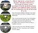 The Quick and Easy Earn More Money, Inner Game and Accounting & Finance for Caulking On-line Businesses 3 CD Power Pack