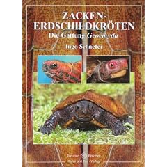 Zacken-Erdschildkr�ten