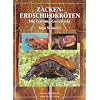 Zacken-Erdschildkr�ten
