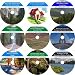 The Exclusive Nine CD No Money Down, Millionaire Making Real Estate Mastery Set