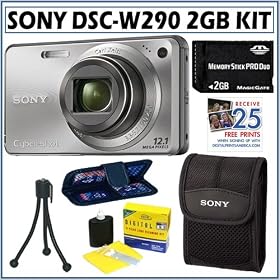 Sony Cyber-shot DSC-W290 12.1 MP Digital Camera in Silver + 2GB Accessory Kit