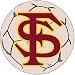 Fanmats Florida State Seminoles Soccer Ball-Shaped Mats