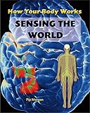 Sensing the world