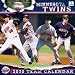 Minnesota Twins 2010 12x12 Team Wall Calendar