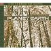 Planet Earth (Bonus Dvd) (Dts)