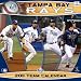 Tampa Bay Rays 2011 Wall Calendar