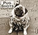 Pug Shots 2008 Calendar: Hollywood Hound