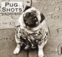 Pug Shots 2008 Calendar: Hollywood Hound