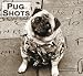 Pug Shots 2008 Calendar: Hollywood Hound