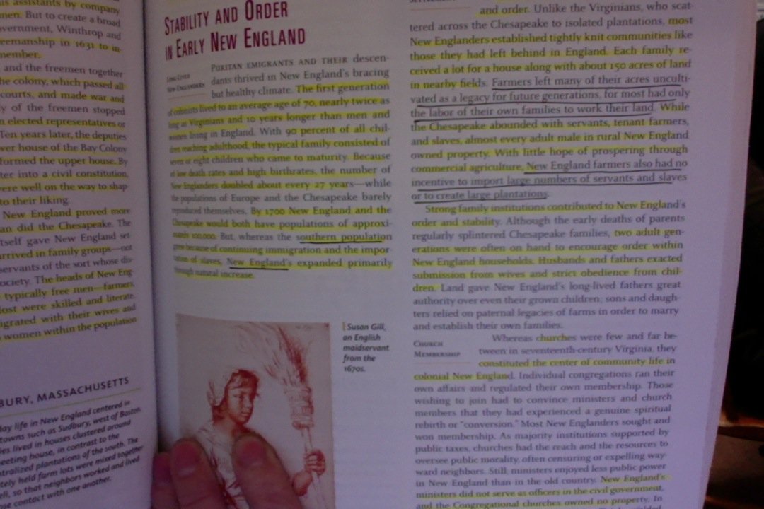 Selected Chapters From Experience History Interpreting America's ...