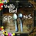 Amazon MP3: Spoons bei MP3-Downloads zum Namen: 61qpXykkhEL._SL75_