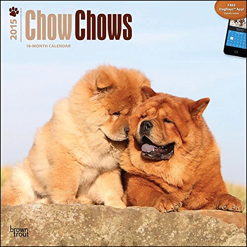 Chow Chows 2015 Wall Calendar