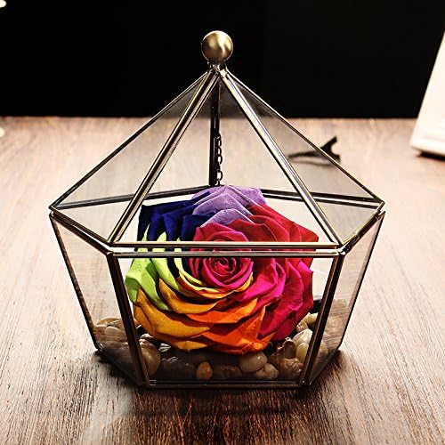 Natural Preserved Fresh Flower Rainbow Rose in a five-pointed star Personalized Valentines day present gifts