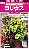 サカタのタネ 実咲花5196 コリウス ハイウェイミックス 00905196