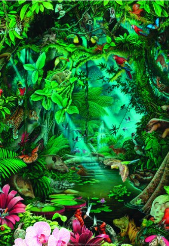 Safari LTD Realm of the Rainforest Laminated Poster