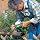 Metabo SXE400 2 Amp 3-1/8-Inch Random Orbit Sander