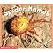 Books about Bugs for Preschoolers