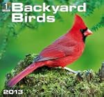 Backyard Birds 2013 Calendar