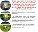 The Guru's How To Earn Extra Money, Marketing and Inner Game for Security Cameras Biz 3 CD Package