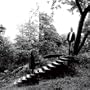 Timber Timbre