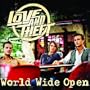 World Wide Open