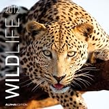 Wildlife 2012. Broschürenkalender 30 x 30 cm