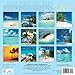 Islands in The Sun 2015 Mini Wall Calendar