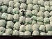 Ballots de coton by Yann Arthus-Bertrand. Size 15.63 X 10.50 Art Poster Print