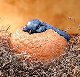 Bird Garden Decor