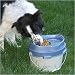 PortablePET Lunch Box - Medium