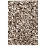 Capel Rugs Agua 4x6 Sandstone Area Rug