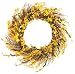 GKI Bethlehem Lighting 35 Clear Mini Light Yellow Forsythia 19-Inch Indoor Wreath
