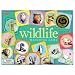 Eeboo Wildlife Matching Game