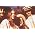 Vignette de The Mamas and The Papas