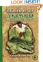 Akimbo and the Crocodile Man