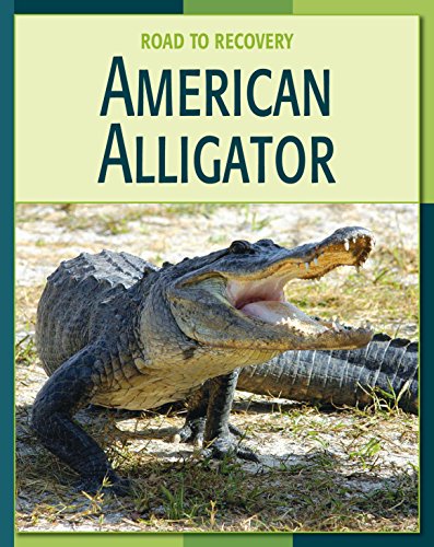 American Alligator (21st Century Skills Library: Road to Recovery)